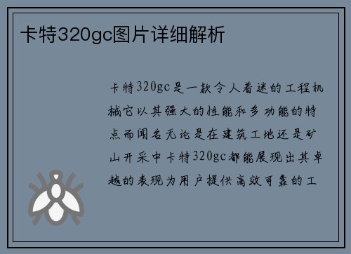 卡特320gc图片详细解析